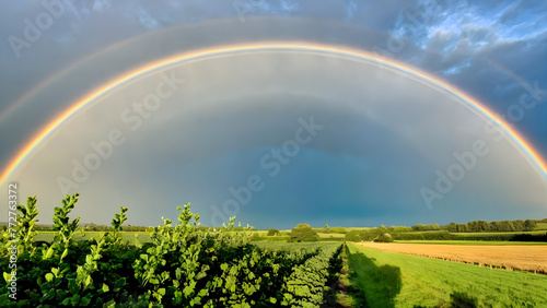 rainbow over green field after rain, AI generated