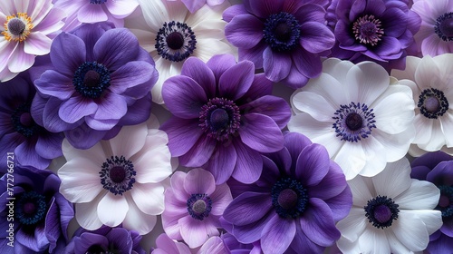 A close-up of several flowers, featuring predominantly purple and white petals arranged in the center