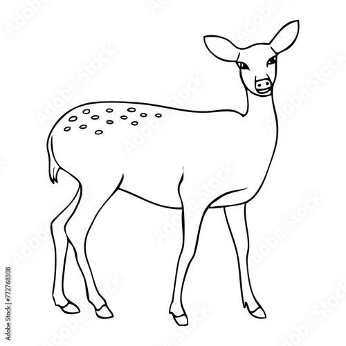 deer line vector illustration