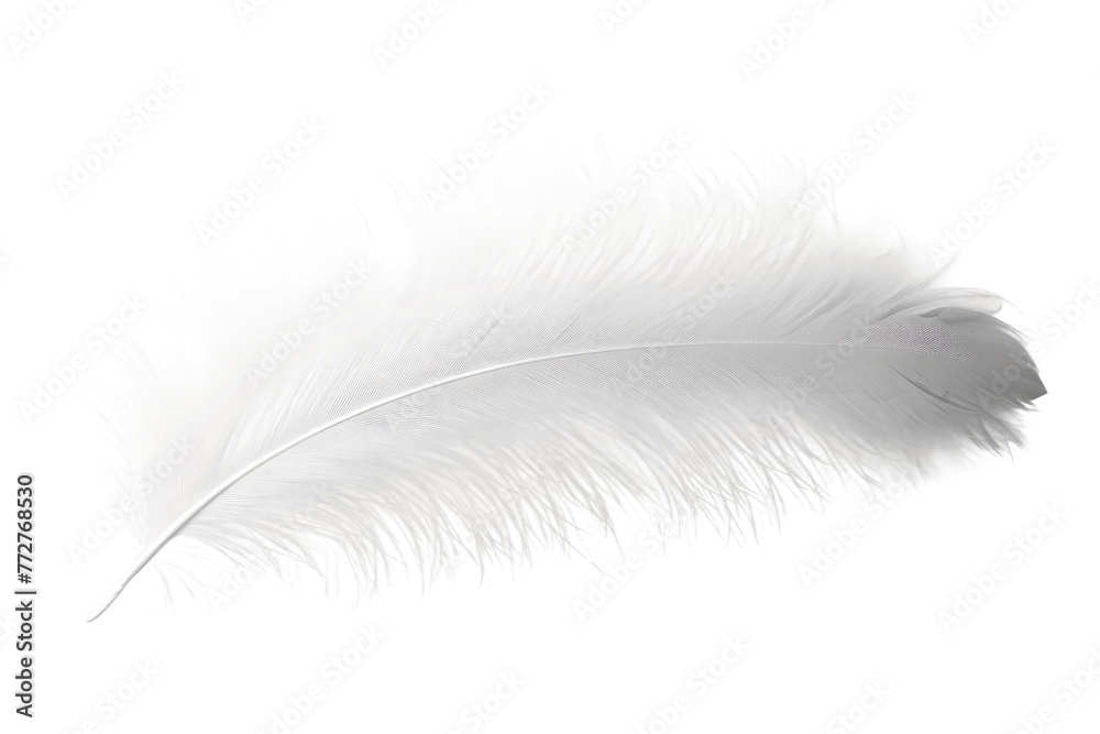 Obraz premium Ethereal Dance Of A White Feather. On a Clear PNG or White Background.