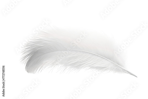 Ethereal White Feather Floating on Pure White Background. On a Clear PNG or White Background.
