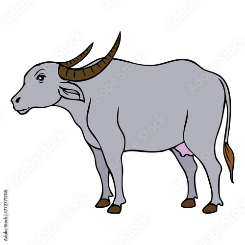 carabao vector illustration