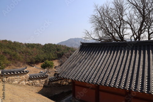 tree korean traditional building old tourism