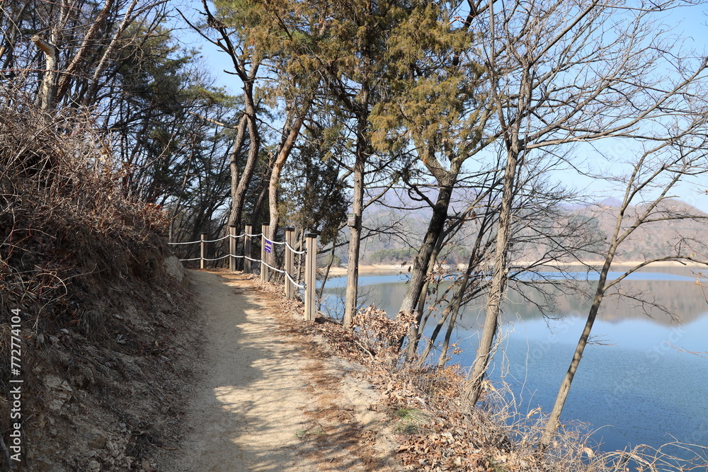 road mountain forest road nature winter cold walk road mountain forest road nature winter cold walk
