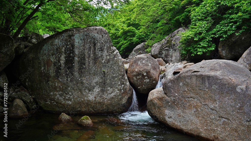 Scenery of the clean valley of Jiri Mountain in Korea Scenery of the clean valley of Jiri Mountain in Korea