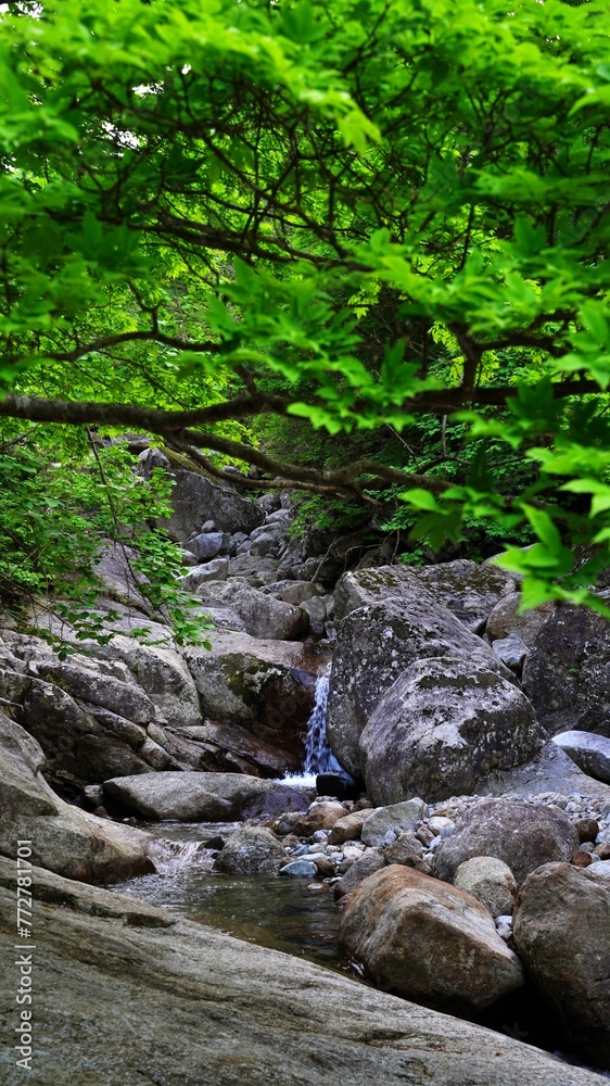 Scenery of the clean valley of Jiri Mountain in Korea Scenery of the clean valley of Jiri Mountain in Korea