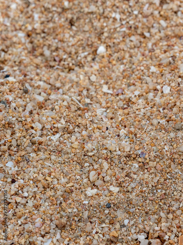 Surface of sand gravel and small fragments of broken shells on beach