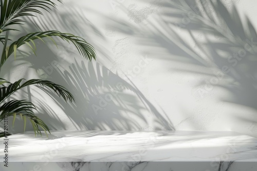 Palm Tree Casting Shadow on Wall © BrandwayArt
