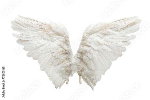 Two White Angel Wings on a White Background