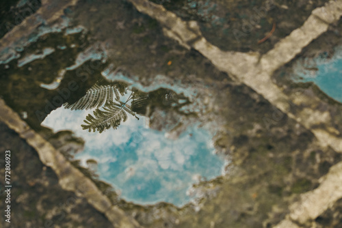 reflection of the sky on the ground