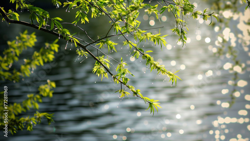 Spring’s Embrace: Weeping Willow by the Lake