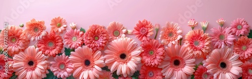 Coral and Lava Gerbera Greeting Card  Celebrate Women s Day  Mother s Day  Valentine s Day or Birthday with Vibrant Flair