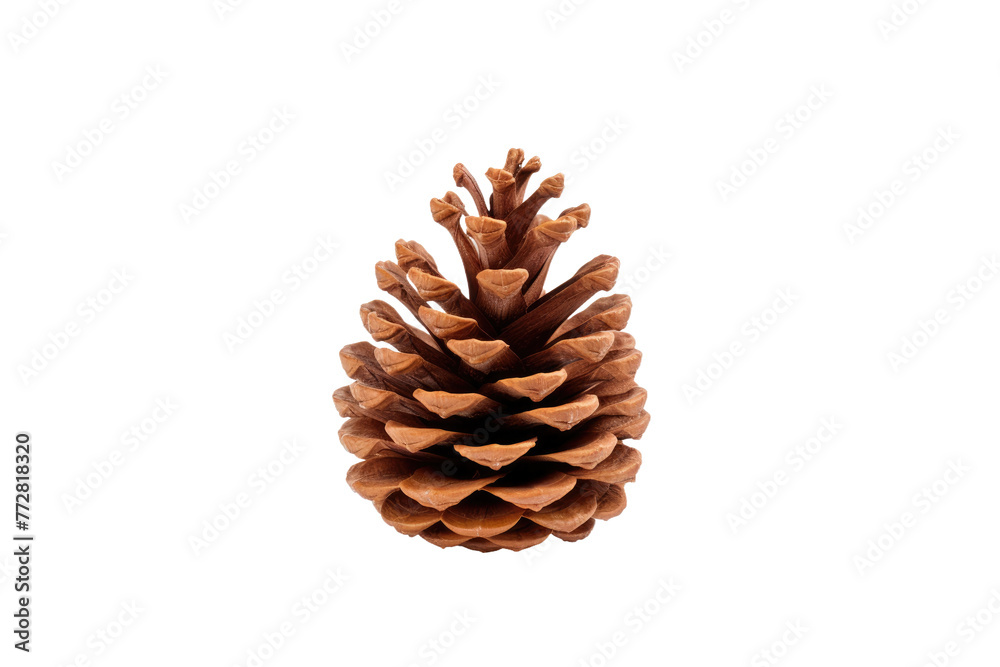 Natures Art: A Majestic Pine Cone on a Blank Canvas. On a Clear PNG or White Background. Natures Art: A Majestic Pine Cone on a Blank Canvas. On a Clear PNG or White Background.