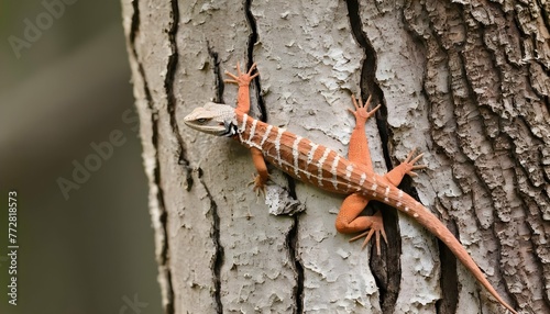 A Lizard Camouflaged Against Tree Bark