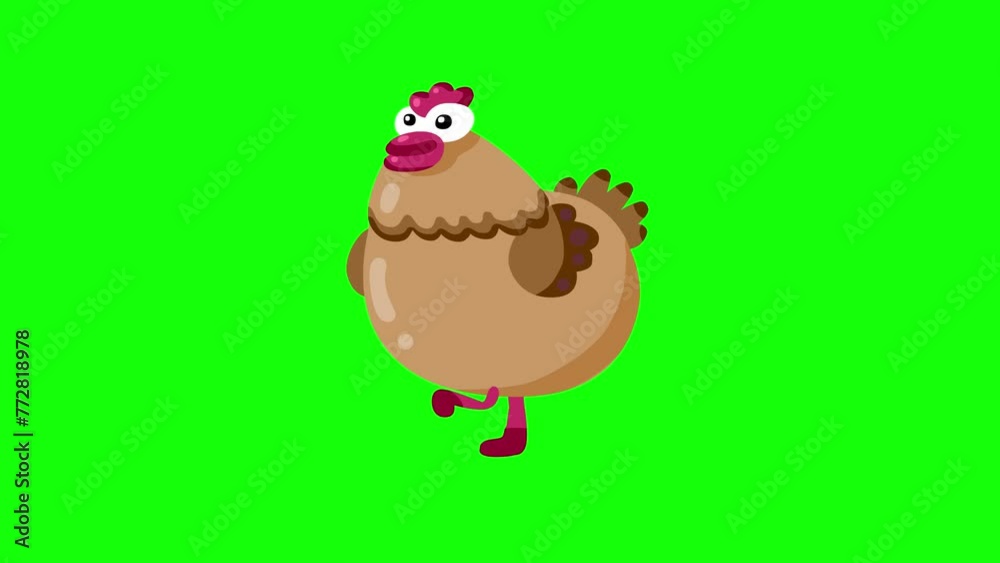 Cartoon hen walking greenbox isolated. Farm animal loop good for any project. Cartoon hen walking greenbox isolated. Farm animal loop good for any project.