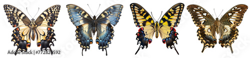Beautiful colorful butterflies collection, isolated on transparent background. © paulmalaianu
