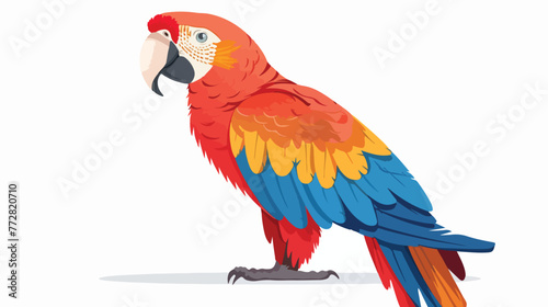 Cartoon funny macaw presenting on white background flat