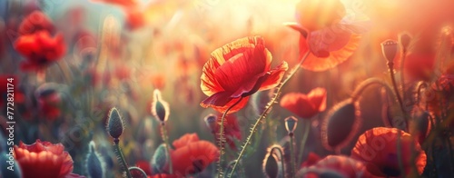 Glowing Dusk  Vibrant Poppy Field Illuminated by Setting Sun s Embrace - Generative AI