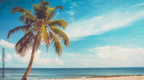 A palm tree is standing on a beach with a clear blue sky above it