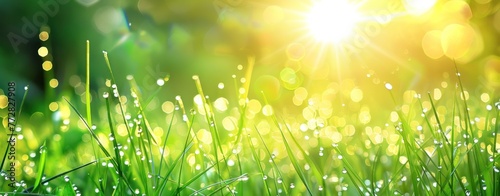 Dazzling Dewdrops on Fresh Green Grass at Sunrise - A Portrait of Renewal - Generative AI