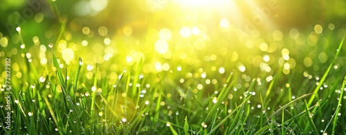 Dazzling Dewdrops on Fresh Green Grass at Sunrise - A Portrait of Renewal - Generative AI