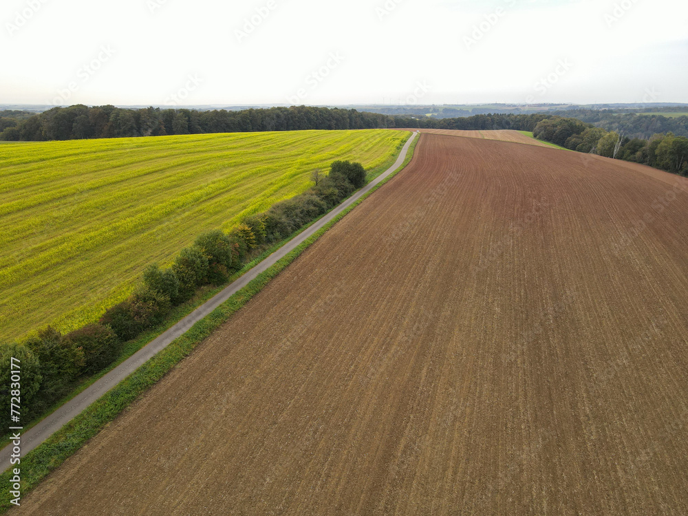 View from above of agricultural fields with soil and rapeseed in countryside 