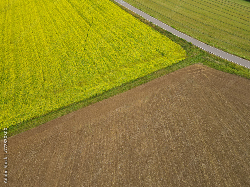 View from above of farm fields with plowed soil and oilseed rape 