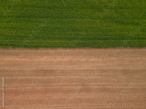 Farm field with soil and grass 