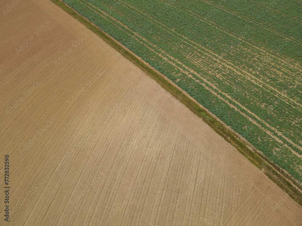 Obraz premium Aerial view of farm fields in the countryside