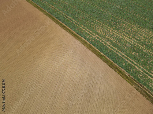 Aerial view of farm fields in the countryside 