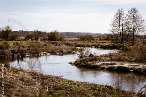 Fototapeta Naklejka Na Ścianę i Meble -  rzeka wieprz w okolicach krasnegostawu