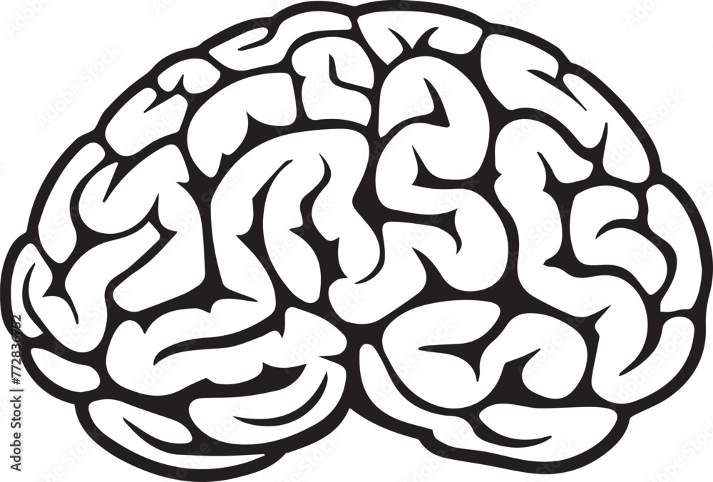 Brain Vector
