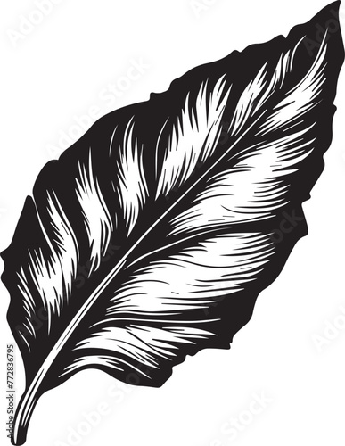 Tabacco Leaf Vector