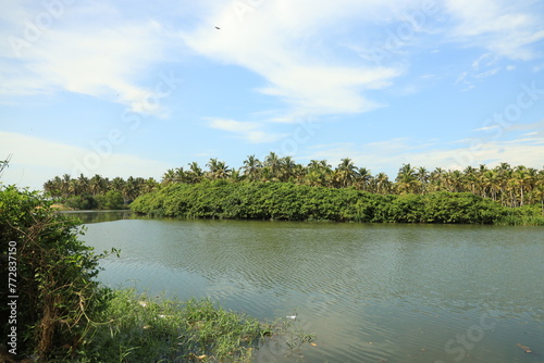A captivating paradise of backwater, mangroves and coconut tree in Poovar Island, Trivandrum