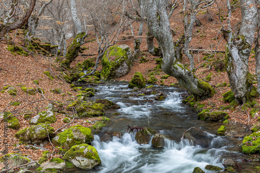 El Faedo Forest and Arroyo Villar in winter. Ciñera de Gordon, León, Spain. El Faedo Forest and Arroyo Villar in winter. Ciñera de Gordon, León, Spain.