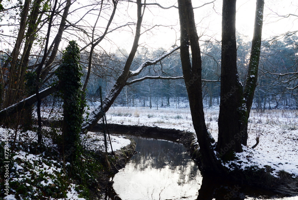 Landscape in Winter at the Stream Steinförthsbach in the Town Walsrode, Lower Saxony Landscape in Winter at the Stream Steinförthsbach in the Town Walsrode, Lower Saxony