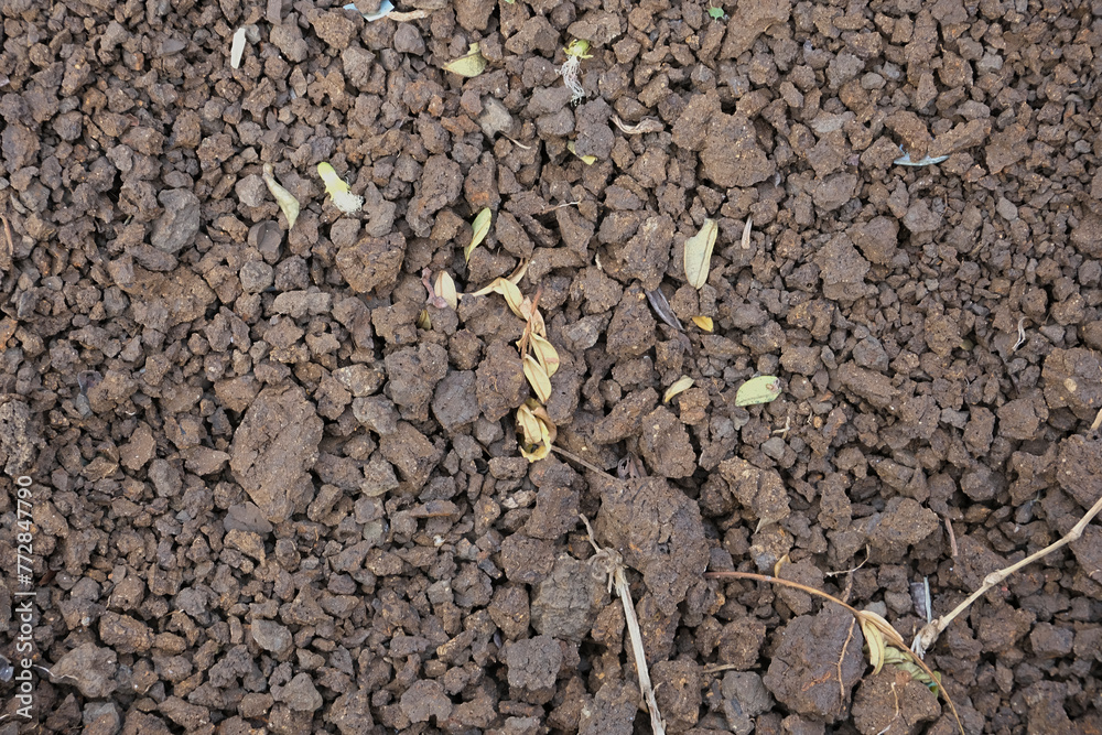 Dry soil with dry leaves Dry soil with dry leaves