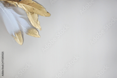 Golden and White Feathers on Blank Background