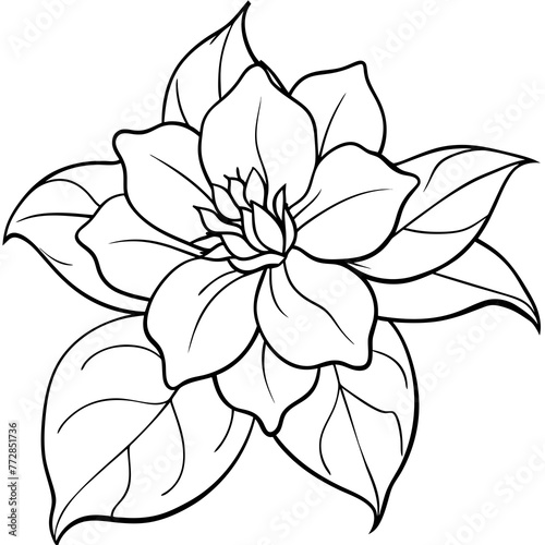 Exquisite Jasmine Flower Vector Art Elevate Your Designs with Stunning Floral Graphics
