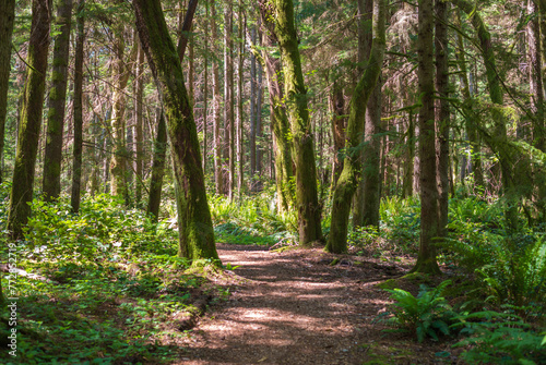 Illahee Preserve Nature preserve in Washington State