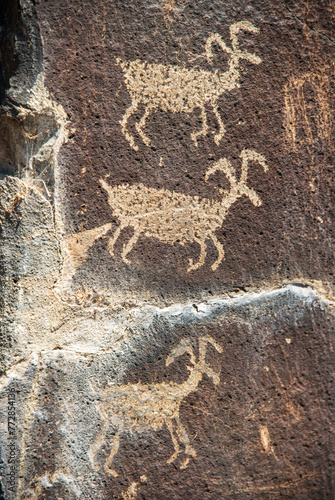 Ancient petroglyphs at Ginkgo Petrified Forest State Park in Washington State