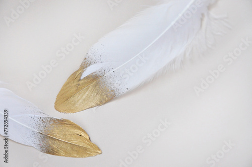 Close up Beautiful White and Golden Feathers on Background