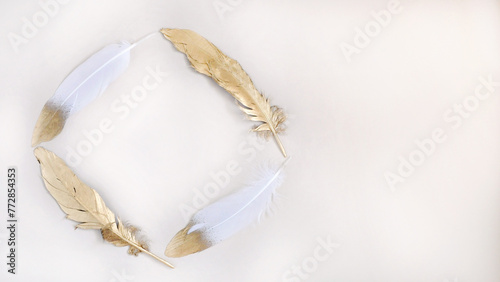 Golden and White Feathers in Round Shape on Blank Background