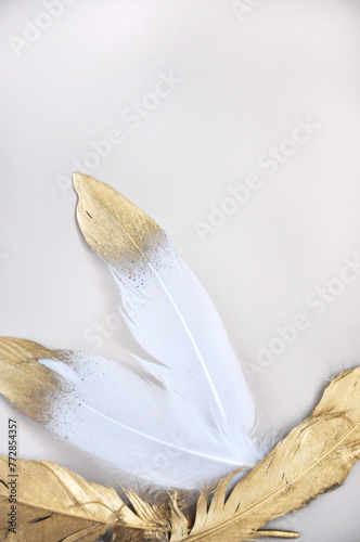 Close up Golden and White Feathers on Background