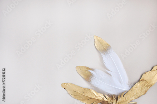 Beautiful Golden and White Feathers on Blank Background