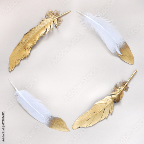 Golden and White Feathers in Round Shape with Copy Space