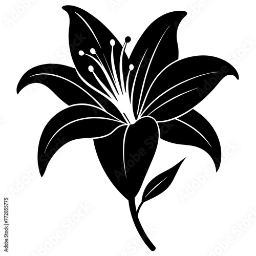 Fototapeta Naklejka Na Ścianę i Meble -  Lily Flower Vector Art Captivating Designs for Your Creative Projects