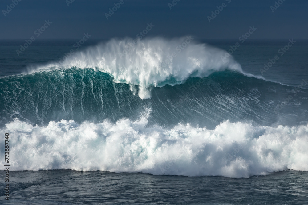 Fototapeta premium big waves portugal