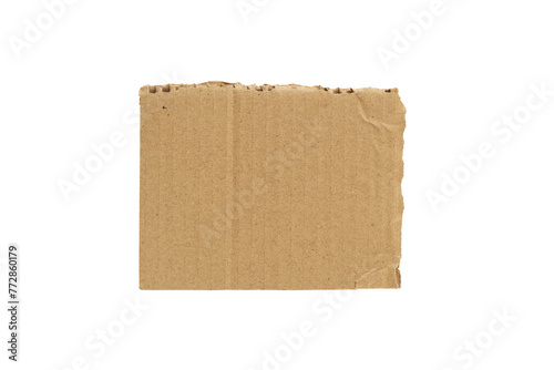 piece of torn cardboard uneven edge isolated on white background