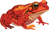 Vibrant madagascar red frog illustration